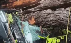 बच्चों से भरी स्कूल गाड़ी पर गिरा भारी भरकम पेड़- मस्जिद का हिस्सा ढहा बच्चों से भरी स्कूल गाड़ी पर गिरा भारी भरकम पेड़- मस्जिद का हिस्सा ढहा