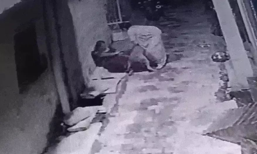 55 साल की महिला पर पिटबुल का अटैक- हाथ और जांघ कर डाले जख्मी