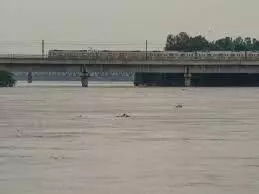 यमुना नदी में बढ़ते जलस्तर को देखते हुए UP के कई जिलों में अलर्ट यमुना नदी में बढ़ते जलस्तर को देखते हुए UP के कई जिलों में अलर्ट