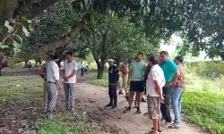 मॉर्निंग वॉक पर निकले लोग मेडिकल रिप्रेजेंटेटिव को पेड़ पर लटके देख... मॉर्निंग वॉक पर निकले लोग मेडिकल रिप्रेजेंटेटिव को पेड़ पर लटके देख...