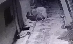 55 साल की महिला पर पिटबुल का अटैक- हाथ और जांघ कर डाले जख्मी 55 साल की महिला पर पिटबुल का अटैक- हाथ और जांघ कर डाले जख्मी