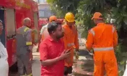 कपड़ा कारोबारी के घर में लगी आग- रोते चिल्लाते 5 लोगों को फायर.... कपड़ा कारोबारी के घर में लगी आग- रोते चिल्लाते 5 लोगों को फायर....