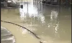 घुसा बाढ का पानी- मरीज अन्यत्र शिफ्ट कर मैडिकल कॉलेज पर जड़ा ताला घुसा बाढ का पानी- मरीज अन्यत्र शिफ्ट कर मैडिकल कॉलेज पर जड़ा ताला