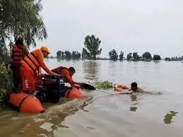 पंजाब में आई बाढ़ से बिजली बोर्ड को हुआ 50 करोड़ का नुकसान पंजाब में आई बाढ़ से बिजली बोर्ड को हुआ 50 करोड़ का नुकसान
