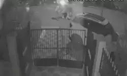 मामा भांजे पर सांड का अटैक- हमले होते ही मौके पर भगदड़ मामा भांजे पर सांड का अटैक- हमले होते ही मौके पर भगदड़