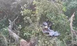 दिल्ली पौड़ी हाईवे पर ट्रैफिक बंद- तटबंध व उस पर बनी सड़क गंगा में बही दिल्ली पौड़ी हाईवे पर ट्रैफिक बंद- तटबंध व उस पर बनी सड़क गंगा में बही