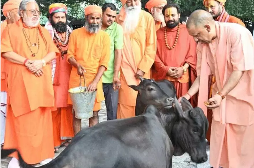 गुरु गोरखनाथ का दर्शन पूजन कर सीएम योगी ने गौशाला में की सेवा गुरु गोरखनाथ का दर्शन पूजन कर सीएम योगी ने गौशाला में की सेवा