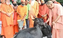 गुरु गोरखनाथ का दर्शन पूजन कर सीएम योगी ने गौशाला में की सेवा