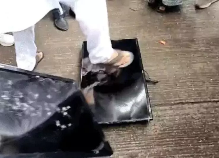 भारत पाक मैच विरोध- सडक पर टीवी पर बजाया लटठ- नारेबाजी व प्रदर्शन