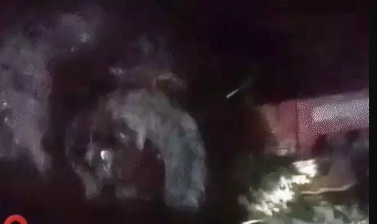 काटन की चपेट में आया ट्रैक्टर नदी में बहा- देखते ही देखते तेज धार....
