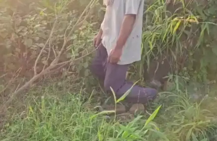 पेड़ से लटके व्यक्ति को देख इलाके में फैली सनसनी- गले में लगा हुआ था..