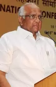 पवार ने पार्टी कार्यकर्ताओं से चुनावों मे जीत हासिल करने का किया आग्रह पवार ने पार्टी कार्यकर्ताओं से चुनावों मे जीत हासिल करने का किया आग्रह