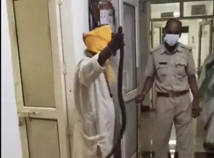 मेडिकल कॉलेज में घुसा सांप-7 फीट के सांप को देख बुरी तरह से छूटे पसीने मेडिकल कॉलेज में घुसा सांप-7 फीट के सांप को देख बुरी तरह से छूटे पसीने