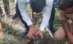 मां बहन के सामने लड़की को जबड़े में दबाकर ले गया बाघ- गांव वाले.. मां बहन के सामने लड़की को जबड़े में दबाकर ले गया बाघ- गांव वाले..