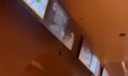 7.8 तीव्रता के भूकंप के बाद जारी किया सुनामी का अलर्ट- हिली गाड़ियां 7.8 तीव्रता के भूकंप के बाद जारी किया सुनामी का अलर्ट- हिली गाड़ियां