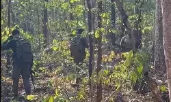 बॉर्डर पर मुठभेड़- सुरक्षा बलों ने दो नक्सली किये ढेर- दोनों के शव....