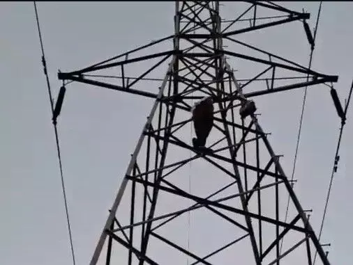हाईटेंशन ड्रामे का सुखद परिणाम- टावर पर चढा वीरु बसंती पाने में रहा..