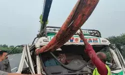 टायर बदलते समय खड़े ट्रक में ट्रेलर ने मारी टक्कर- चली गई तीन की जान टायर बदलते समय खड़े ट्रक में ट्रेलर ने मारी टक्कर- चली गई तीन की जान