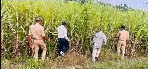 तेंदुए के पैरों के निशान मिलते ही लोगों को अलर्ट करने को बांटे पर्चे