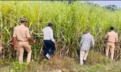 तेंदुए के पैरों के निशान मिलते ही लोगों को अलर्ट करने को बांटे पर्चे तेंदुए के पैरों के निशान मिलते ही लोगों को अलर्ट करने को बांटे पर्चे