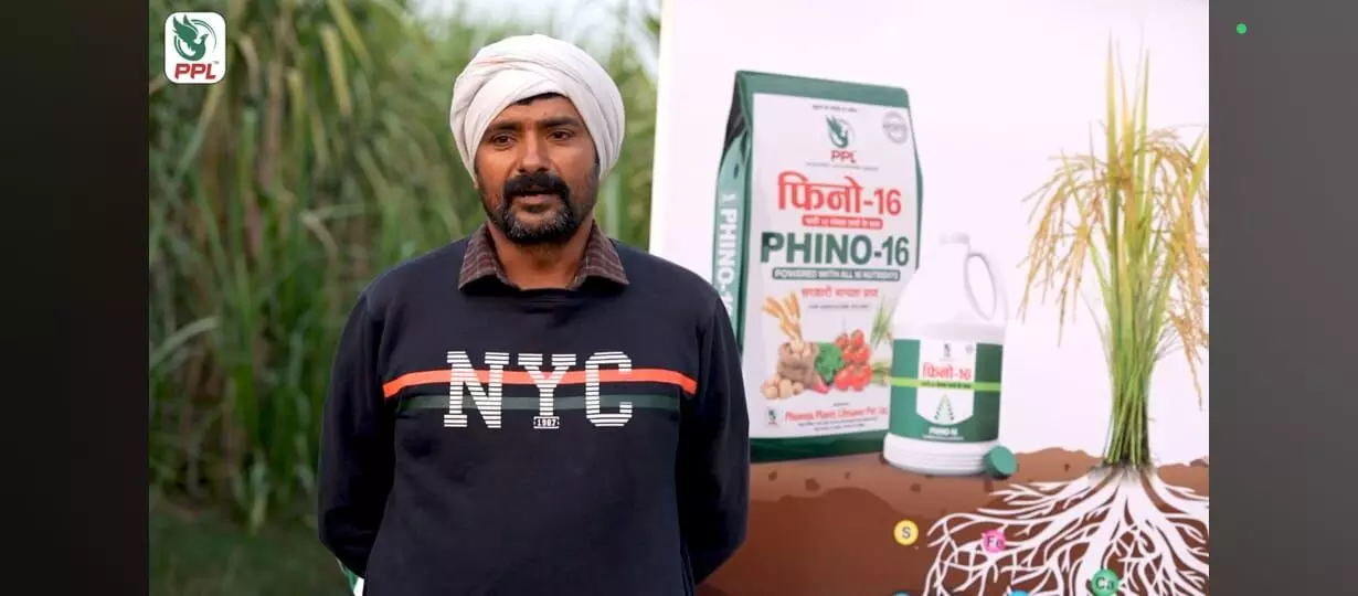फसलों की पोषण क्रांति फिनो -16 खेतों में उत्पादन- मिट्टी की लम्बी सेहत