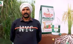 फसलों की पोषण क्रांति फिनो -16 खेतों में उत्पादन- मिट्टी की लम्बी सेहत फसलों की पोषण क्रांति फिनो -16 खेतों में उत्पादन- मिट्टी की लम्बी सेहत