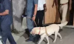 एक्टर के घर को बम से उड़ाने की धमकी- सुरक्षा एजेंसियां मौके पर एक्टर के घर को बम से उड़ाने की धमकी- सुरक्षा एजेंसियां मौके पर