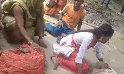 भेड़िए ने हमला कर ली पति पत्नी की जान- तीन अन्य की हालत गंभीर भेड़िए ने हमला कर ली पति पत्नी की जान- तीन अन्य की हालत गंभीर