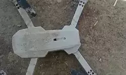 आवारा कुत्तों ने डॉग लवर को दिखाया आईना- दो बच्चों को हमला कर..