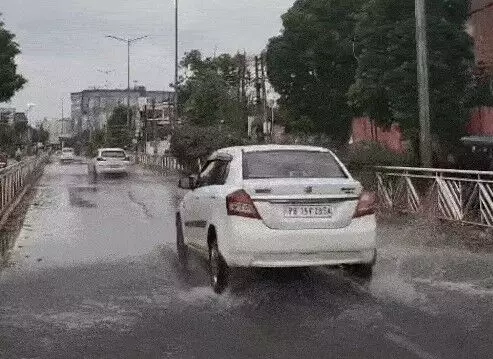झमाझम बारिश से बेहाल हुआ पेड़ टूट कर गिरा- बिछी ओलों की चादर