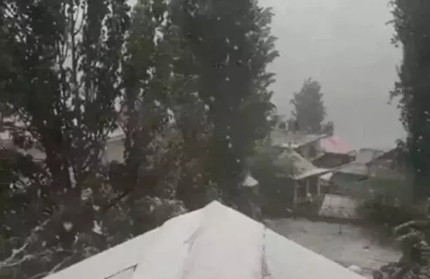 बर्फबारी से ऊंचे क्षेत्र हुए सफेद- 2 सेंटीमीटर तक हुआ हिमपात- बढी ठंड