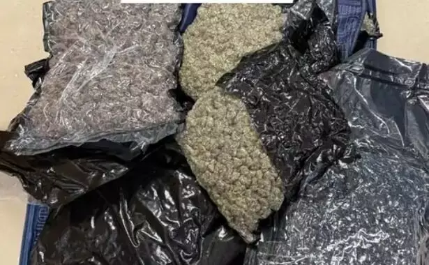 एयरपोर्ट पर ड्रोन, गांजा एवं विदेशी जानवरों के साथ चार किये गिरफ्तार