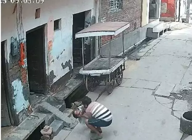बंदर का झपट्टा- पिता के सामने ही छत से गिरी बेटी-10 घंटे से बेहोश