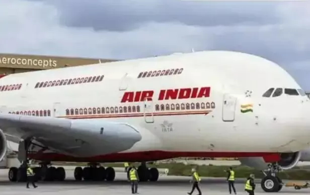 एयर इंडिया की फ्लाइट से टकराया पक्षी- एयरलाइंस ने रद्द की वापसी उड़ान