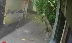 बारिश का कहर बरकरार- भरभरकर गिरी मकान की दीवार- पूरी घटना.. बारिश का कहर बरकरार- भरभरकर गिरी मकान की दीवार- पूरी घटना..