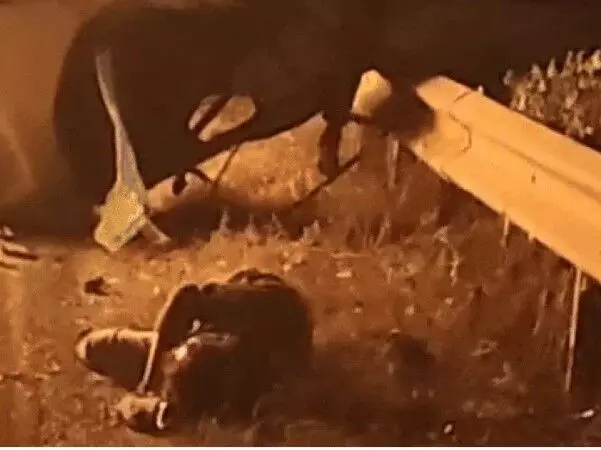 डिवाइडर पार कर ओमनी से टकराई स्विफ्ट- कार में लगी में 2 जिंदा जले डिवाइडर पार कर ओमनी से टकराई स्विफ्ट- कार में लगी में 2 जिंदा जले