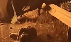 डिवाइडर पार कर ओमनी से टकराई स्विफ्ट- कार में लगी में 2 जिंदा जले डिवाइडर पार कर ओमनी से टकराई स्विफ्ट- कार में लगी में 2 जिंदा जले