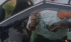 252 वाहनों के किए चालान- उल्लंघन करने वालों पर होगी कठोर कार्रवाई