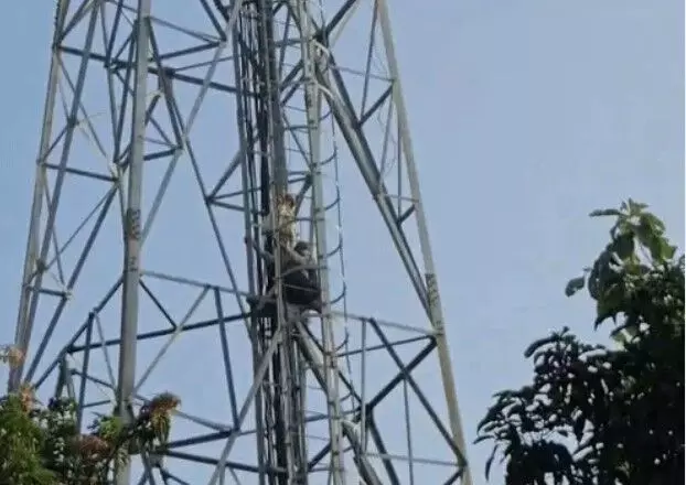 SDM की डांट से आहत 70 साल के बुजुर्ग टावर पर चढ़े- फूली प्रशासन की..