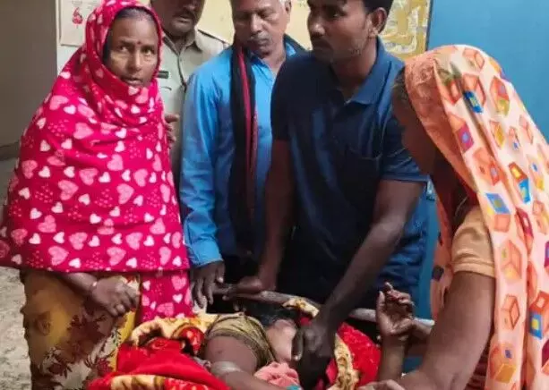 दिशा शौच के लिए घर से निकली महिला पर तेंदुए का हमला