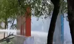 पटाखा फैक्ट्री में ब्लास्ट- केमिकल मिक्स करते समय हुआ विस्फोट पटाखा फैक्ट्री में ब्लास्ट- केमिकल मिक्स करते समय हुआ विस्फोट