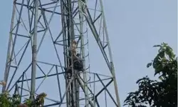 SDM की डांट से आहत 70 साल के बुजुर्ग टावर पर चढ़े- फूली प्रशासन की..