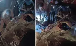 भीषण सड़क हादसा - इको वैन और बस की टक्कर में तीन की मौत