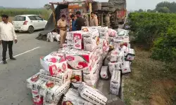 ट्रक पलटने से बाईपास पर ही सजी सेब की मंडी-कश्मीर से बिहार जा रहा.. ट्रक पलटने से बाईपास पर ही सजी सेब की मंडी-कश्मीर से बिहार जा रहा..