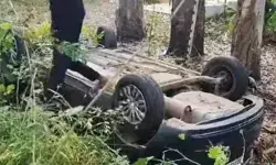 नीलगाय को बचाने के चक्कर में हाईवे पर तेज रफ्तार कार खेत में पलटी नीलगाय को बचाने के चक्कर में हाईवे पर तेज रफ्तार कार खेत में पलटी
