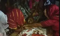 तेज रफ्तार ट्रैक्टर ट्रॉली बेकाबू होकर पलटी-नीचे दबने से ड्राइवर की मौत तेज रफ्तार ट्रैक्टर ट्रॉली बेकाबू होकर पलटी-नीचे दबने से ड्राइवर की मौत