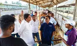 मुजफ्फरनगर में काऊ भ्रूण प्रत्यारोपण से साहीवाल नस्ल को बढ़ावा मुजफ्फरनगर में काऊ भ्रूण प्रत्यारोपण से साहीवाल नस्ल को बढ़ावा