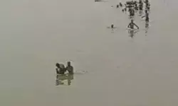 घाट पर छठ पूजा की तैयारी कर रहे एक गांव के 4 बच्चे नदी में समाएं