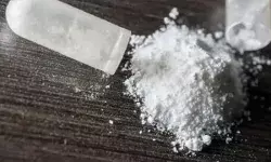 ड्रग्स निर्माण फैक्ट्री पर छापा- करोड़ों की ड्रग्स जब्त- इंस्पेक्टर... ड्रग्स निर्माण फैक्ट्री पर छापा- करोड़ों की ड्रग्स जब्त- इंस्पेक्टर...