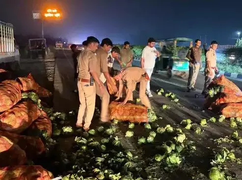 पिकअप पलटने से हाईवे पर ही सजी गोभी की मंडी- पुलिस ने समेटी बिखरी.. पिकअप पलटने से हाईवे पर ही सजी गोभी की मंडी- पुलिस ने समेटी बिखरी..